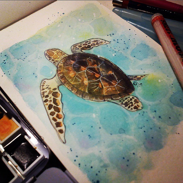Folkfools: un artbook per salvare le tartarughe marine thumbnail