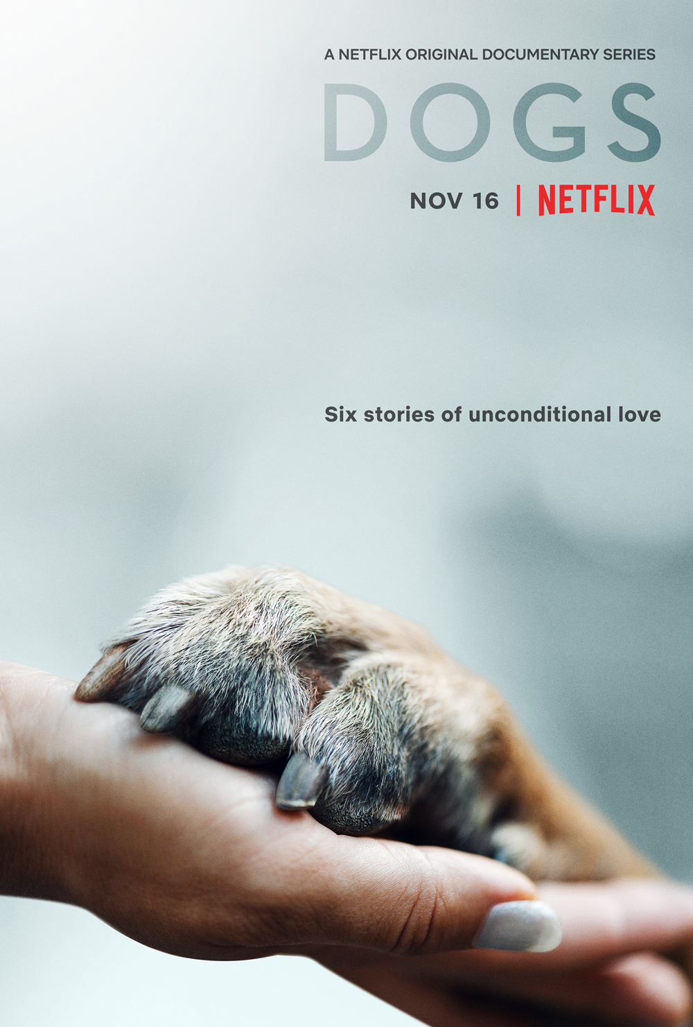 Dogs: il trailer della serie Netflix tutta dedicata ai cani thumbnail