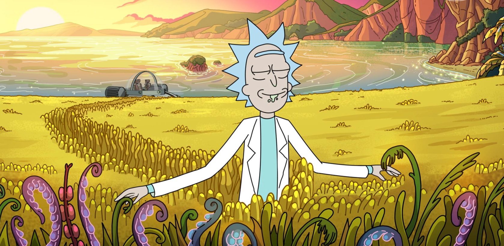 Rick and Morty: annunciato un nuovo corto anime thumbnail