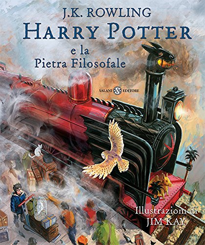 Regali Natale Harry Potter Libro
