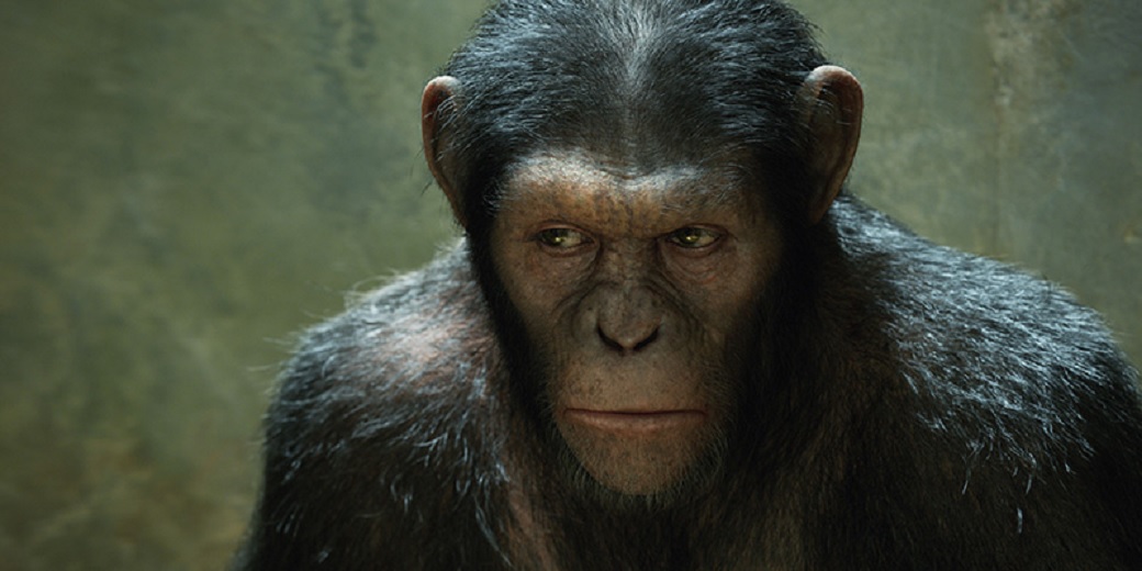Il Pianeta delle Scimmie: Disney al lavoro su un nuovo film! thumbnail
