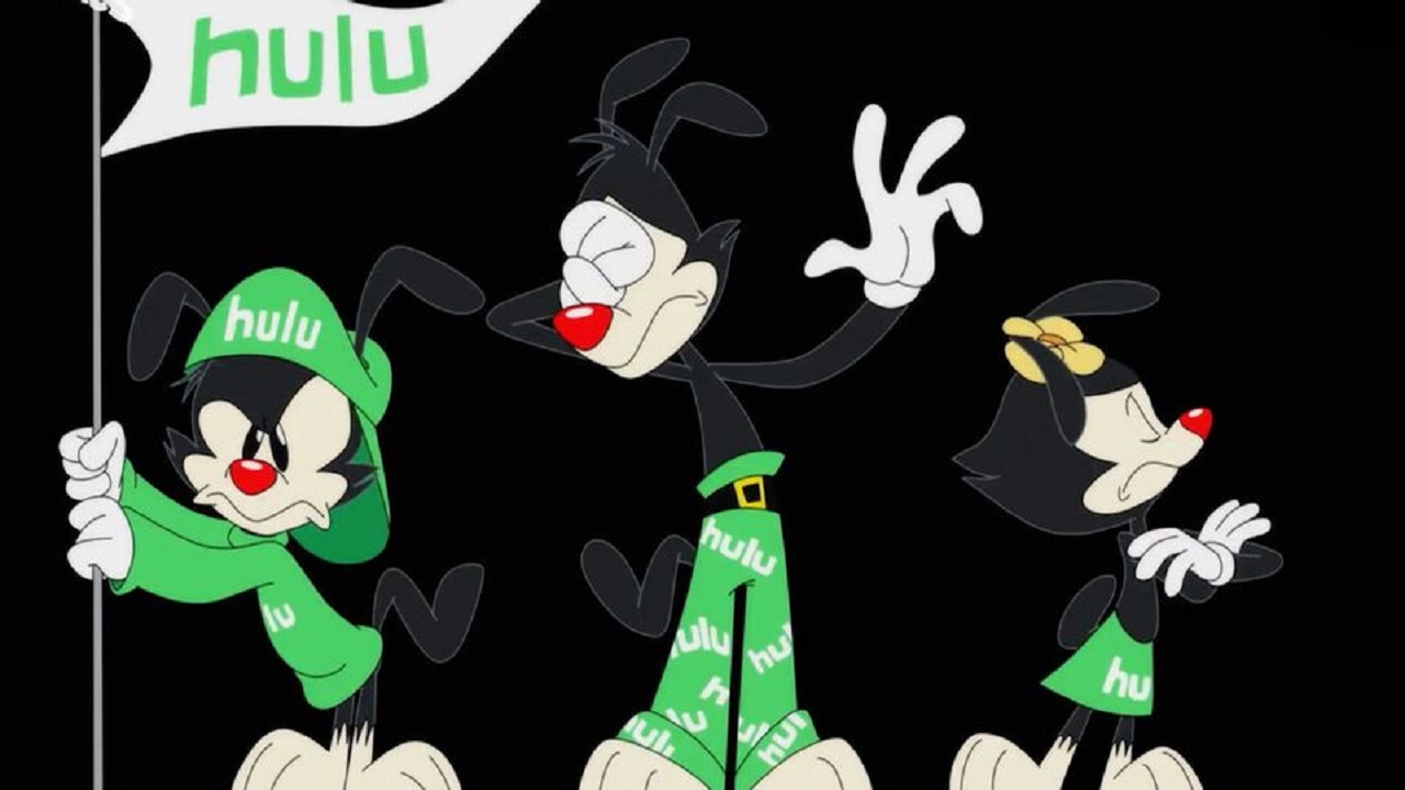 Hulu rinnova Animaniacs per una terza stagione thumbnail