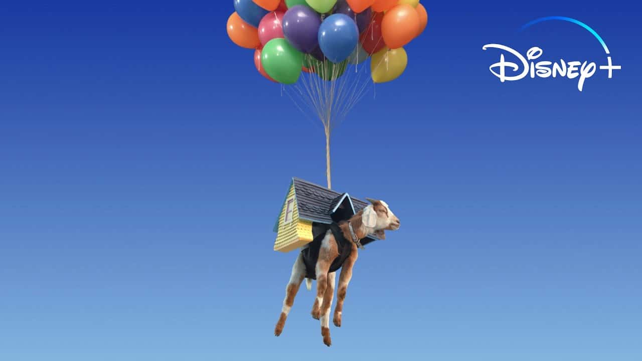Super Bowl: Disney+ lancia uno spot pieno di capre (sì avete letto bene) thumbnail