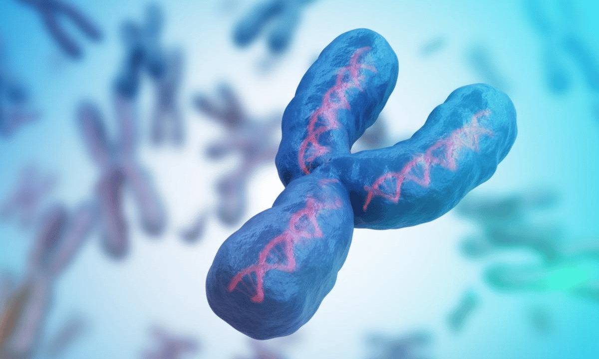 Il legame tra la perdita del cromosoma Y e i problemi cardiovascolari thumbnail