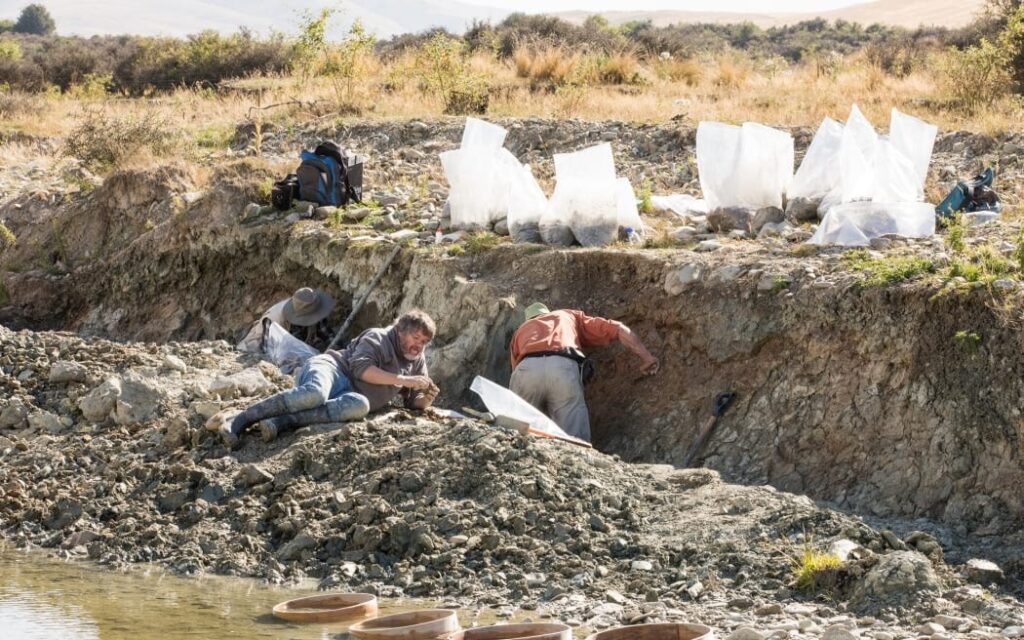 scavi fossile cigno ancestrale-min