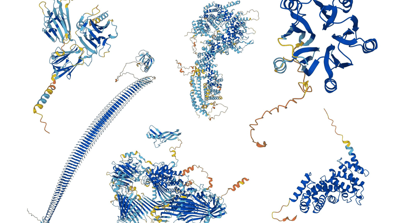 Un AI ha calcolato la struttura di quasi tutte le proteine note alla scienza thumbnail