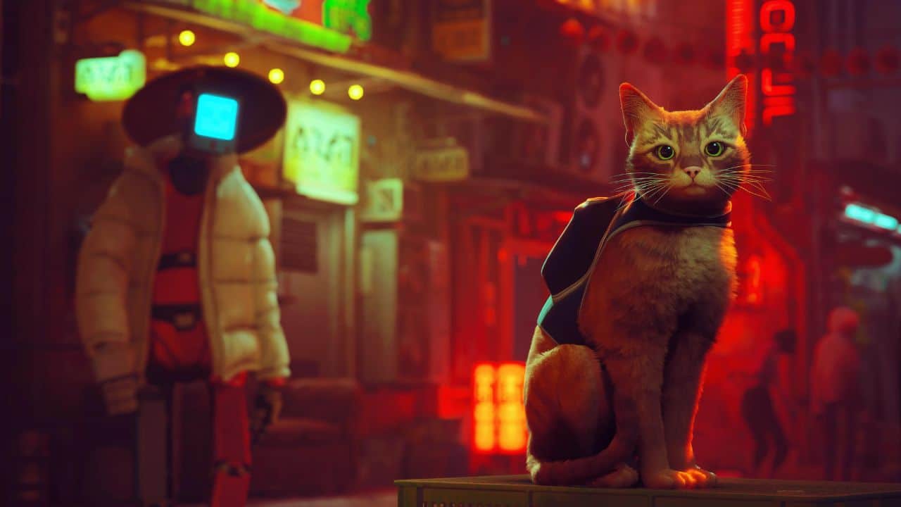 Stray: il videogioco sul tenero e vendicativo gattino rosso diventa un film thumbnail