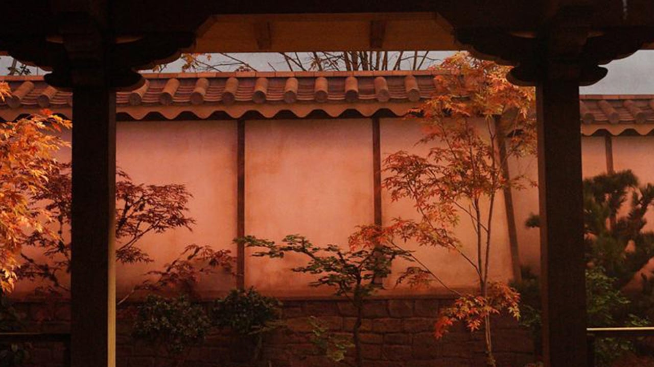 Aperte le prenotazioni per visitare The World of Shōgun, esperienza multisensoriale a Milano thumbnail