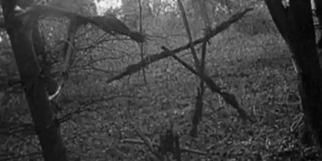 The-Blair-Witch-Project-nuovo-film