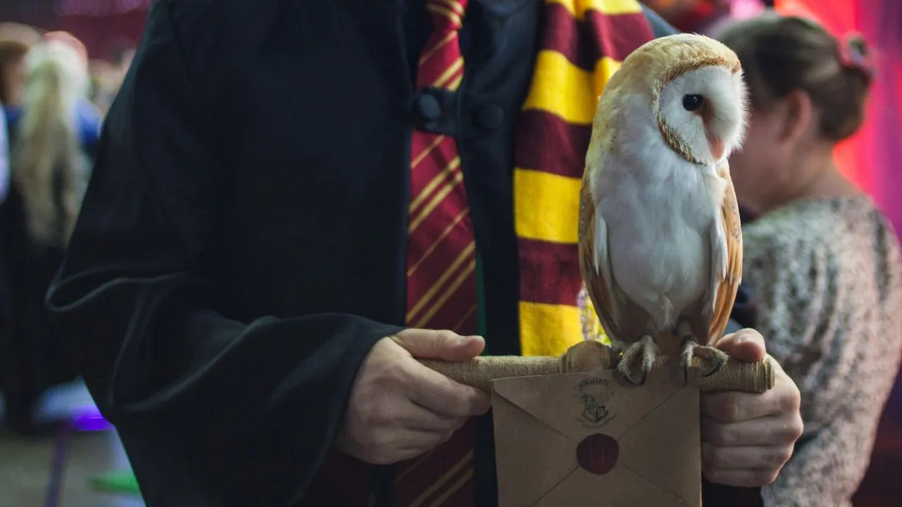 La prima copertina di Harry Potter è stata venduta per 2 milioni di dollari thumbnail